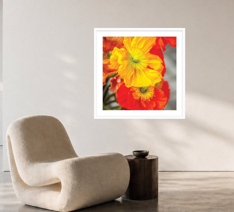 Flora Collection | From $99