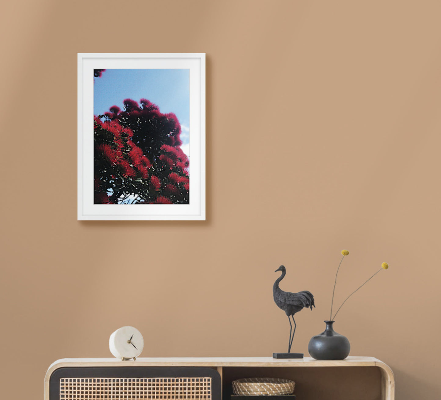 Coastal Bloom