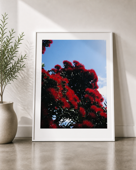 Coastal Bloom