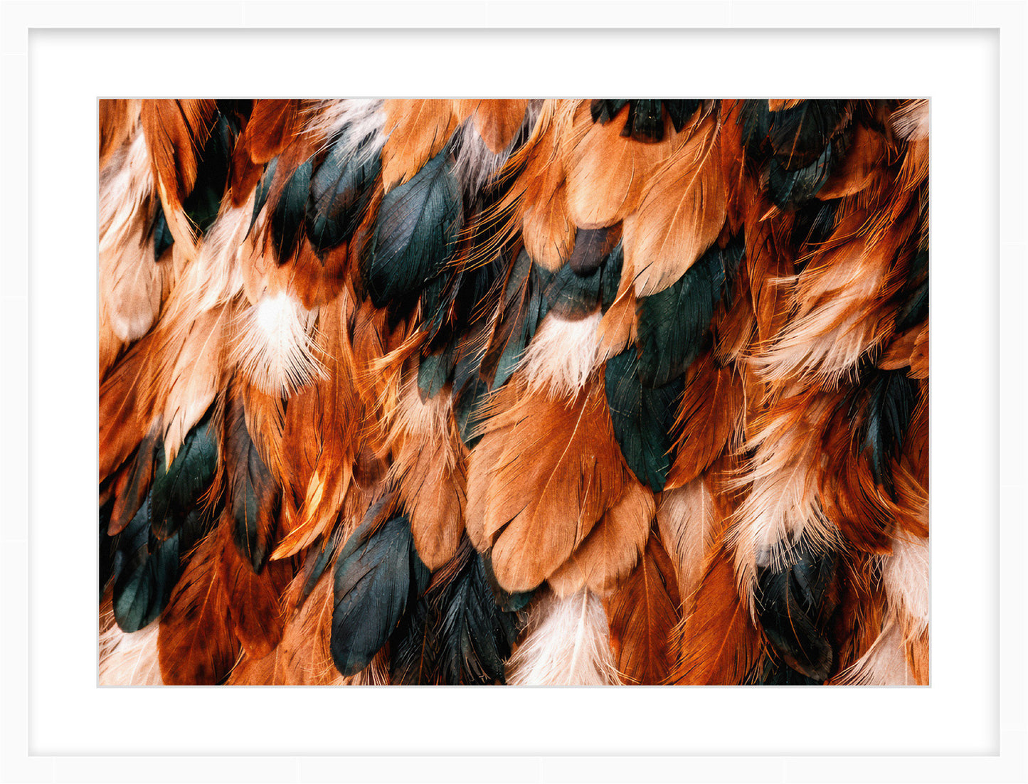 Feather Ember
