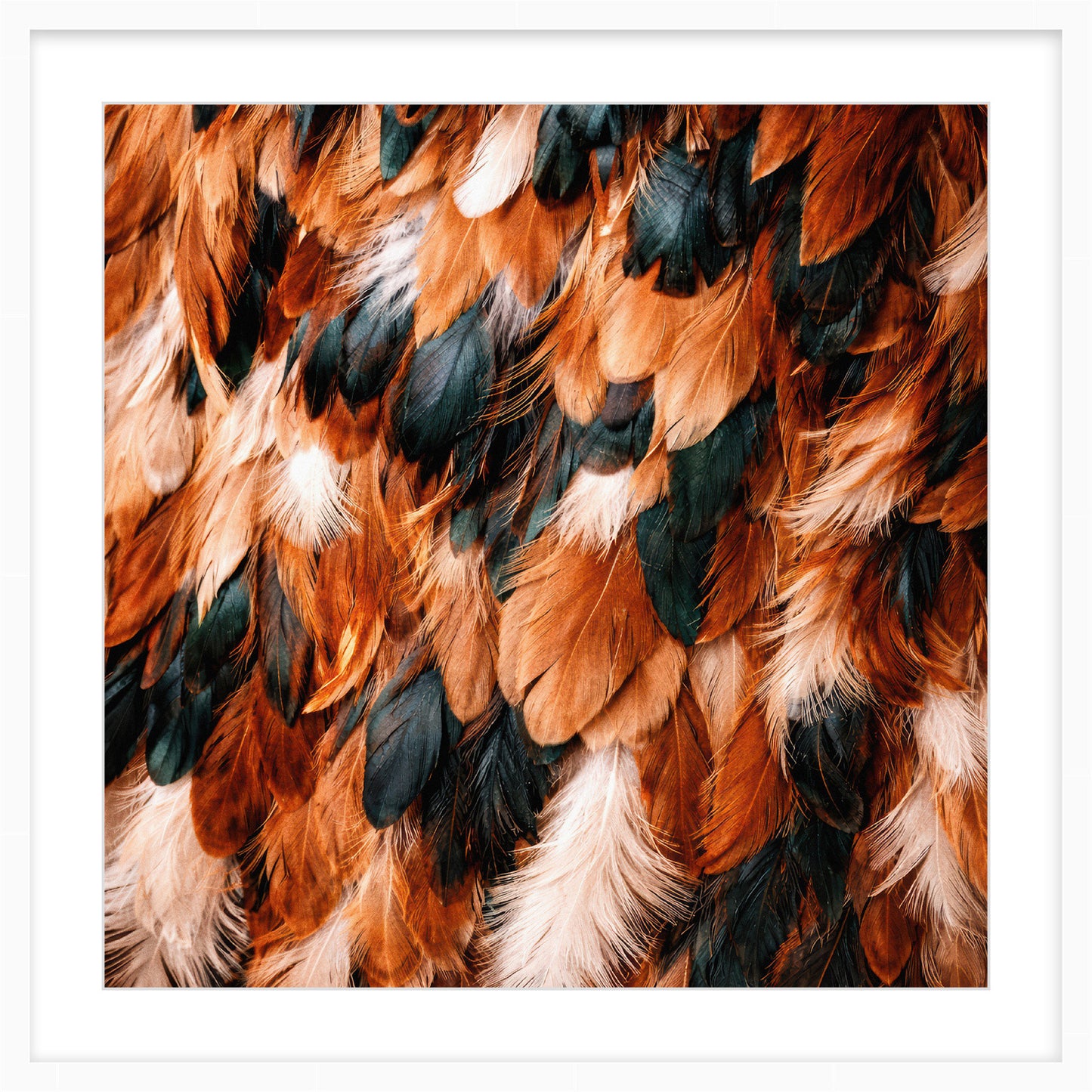 Feather Ember