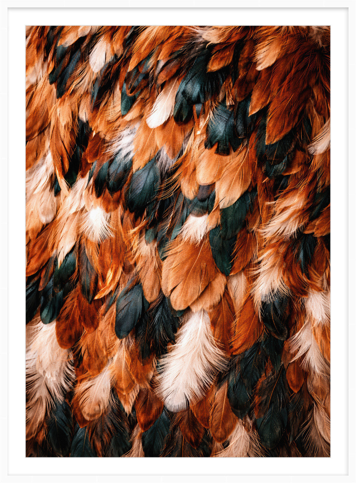 Feather Ember