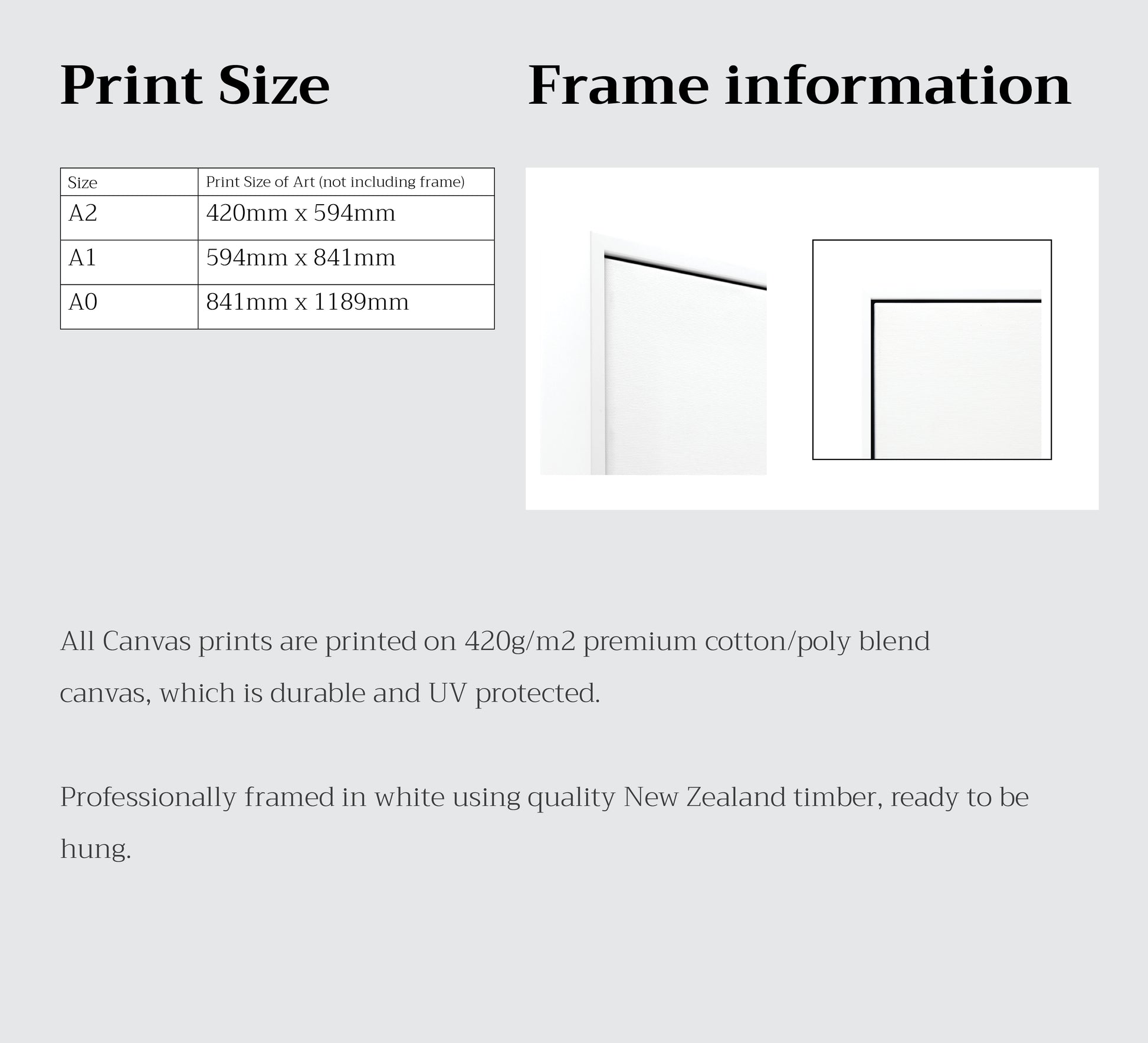 Print size table and frame information diagram for a white framed canvas print