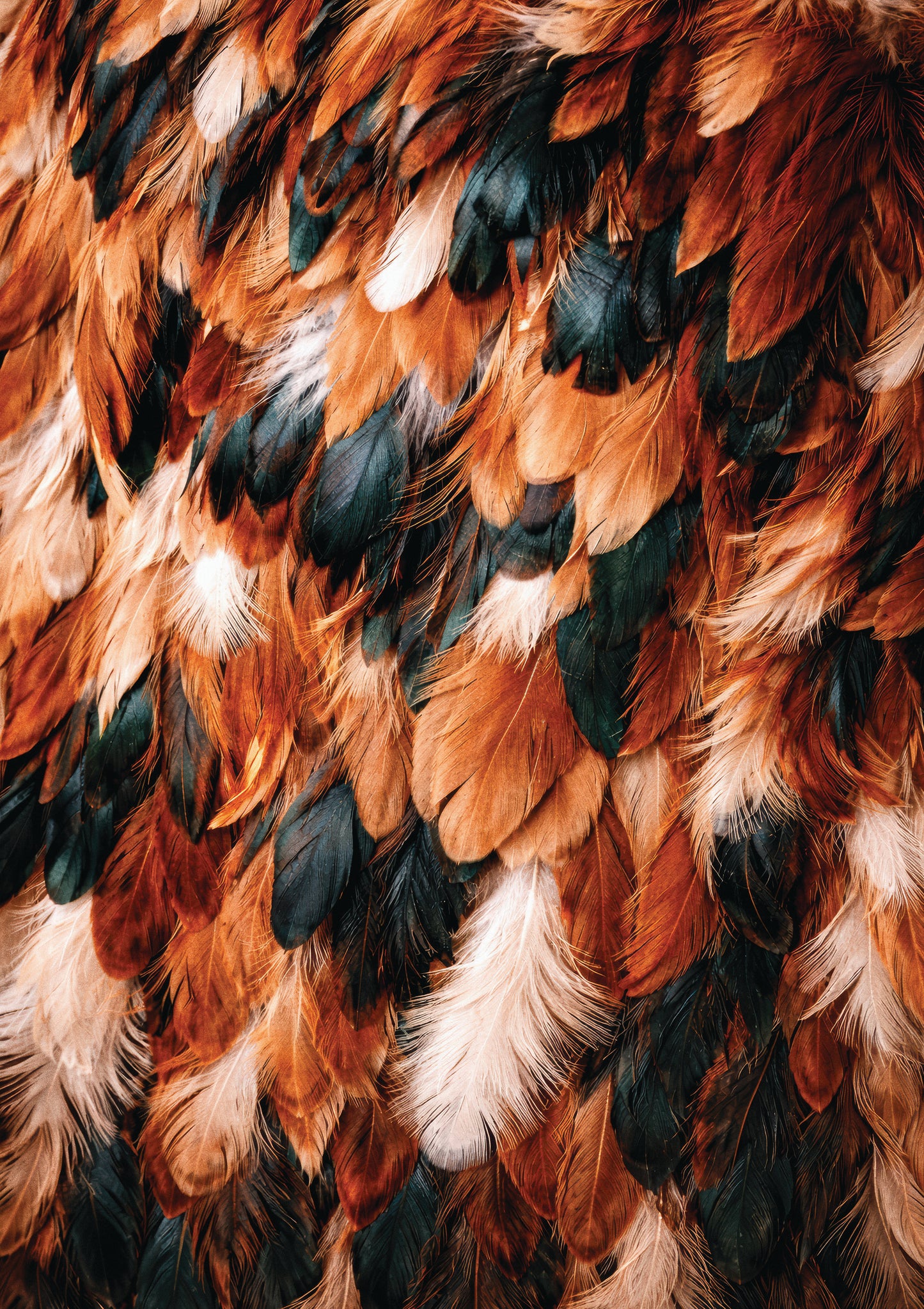 Feather Ember
