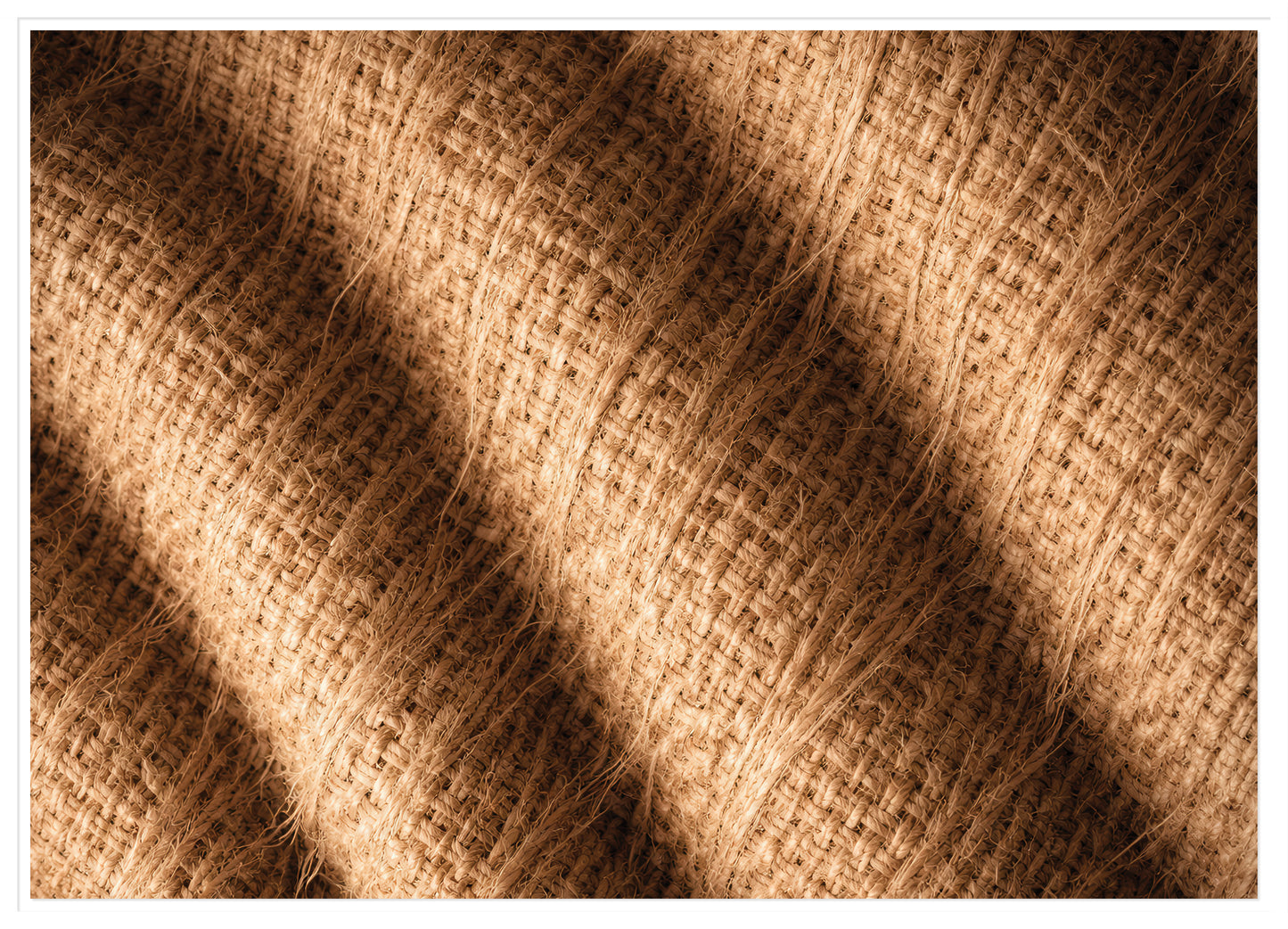 Limited Edition Coarse Textile