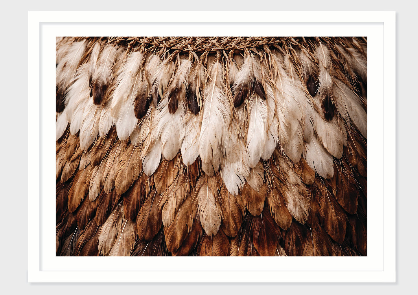 Limited Edition Feather Form