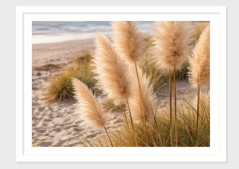 Dune Grass