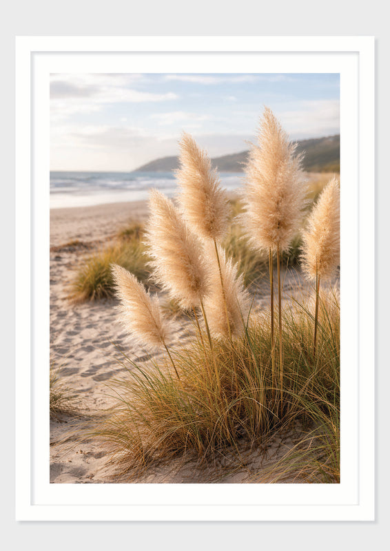 Dune Grass