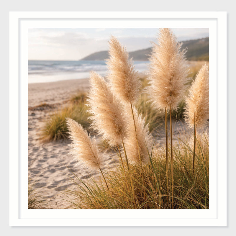 Dune Grass