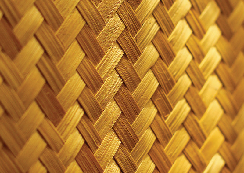Luminous Weave