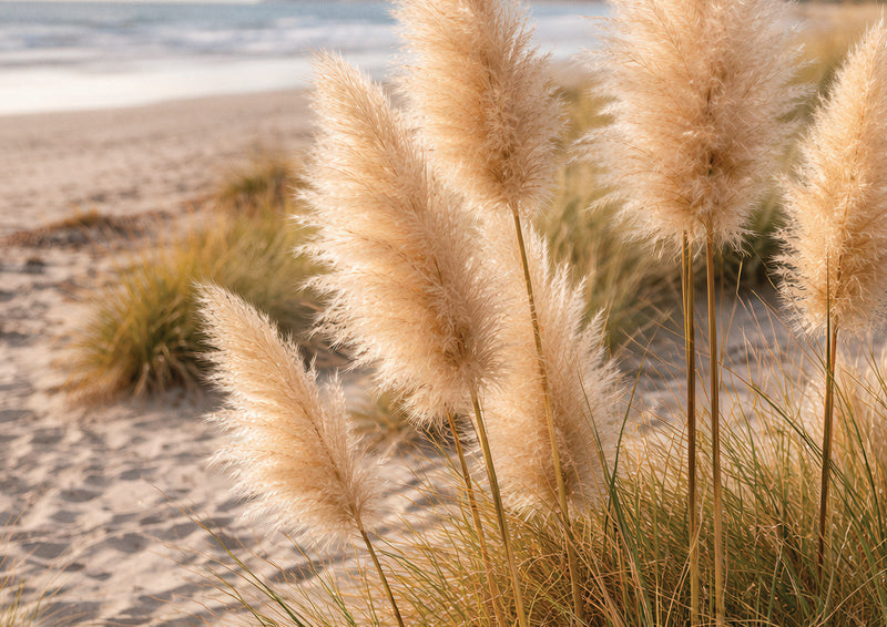 Dune Grass