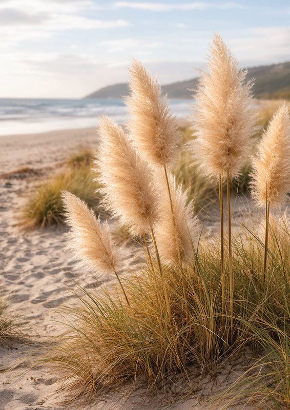 Dune Grass