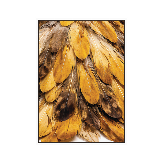 Floating frame feather canvas print with golden and brown feathers, white frame border