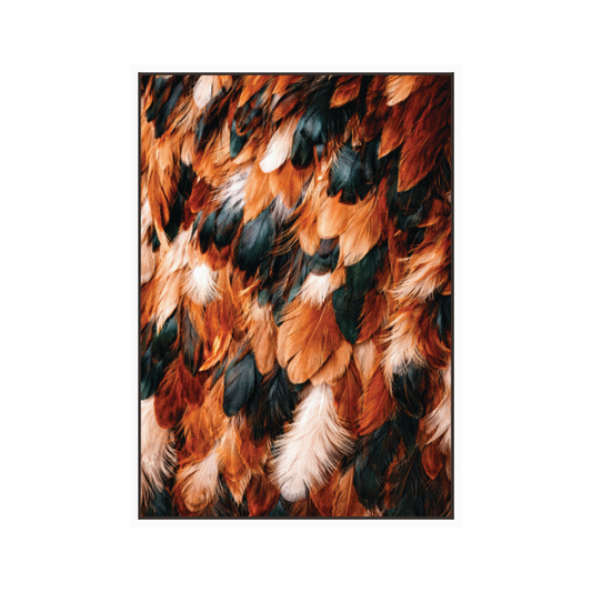 Colorful feather canvas print with white mat and dark floating frame